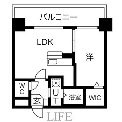 ＦＬＡＴ-Ｔ／Ｇの物件間取画像